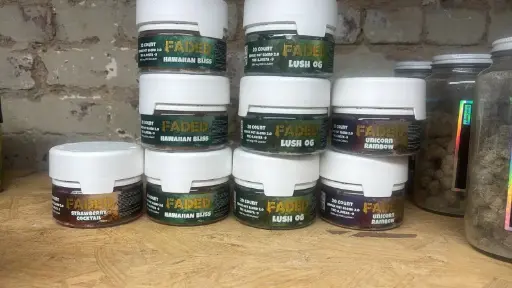 FADED GUMMY 20 CT